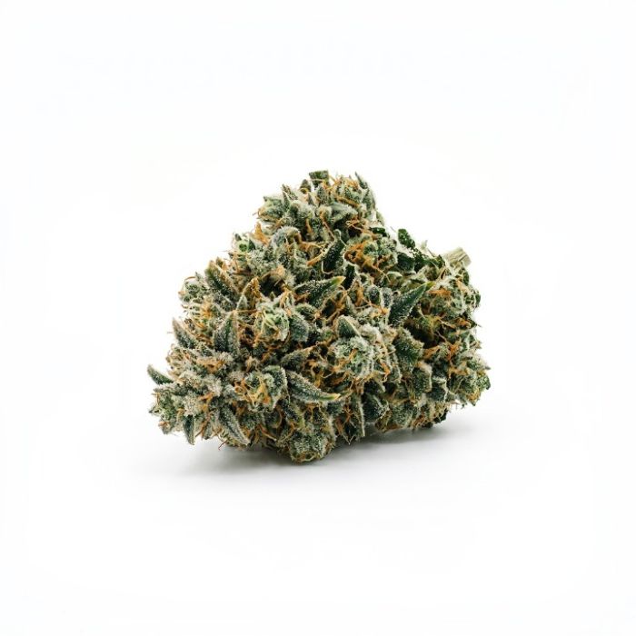 Wedding Cake Auto Seeds