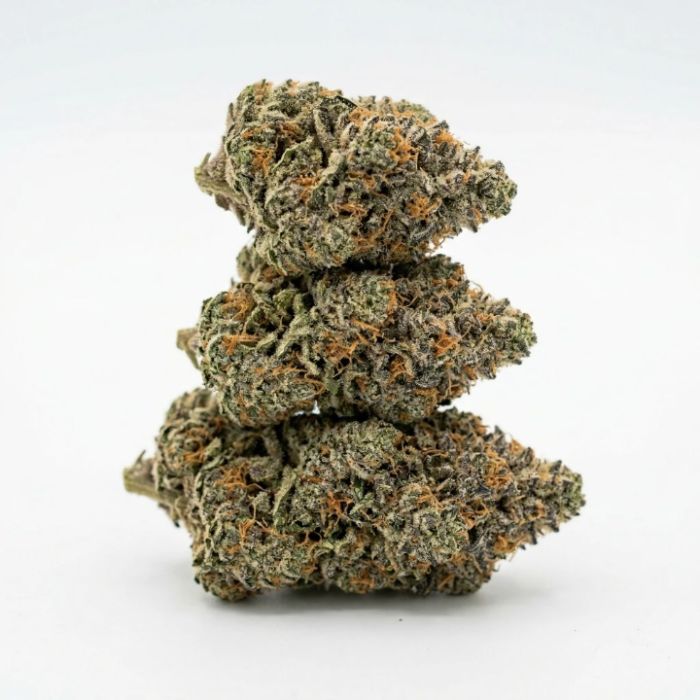 Wedding Cake Feminized