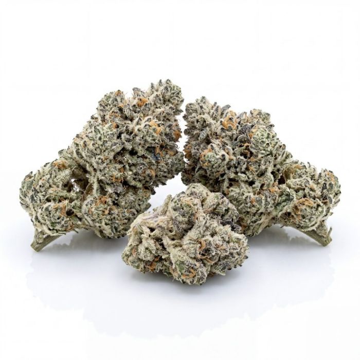Wedding Cheesecake Auto Seeds
