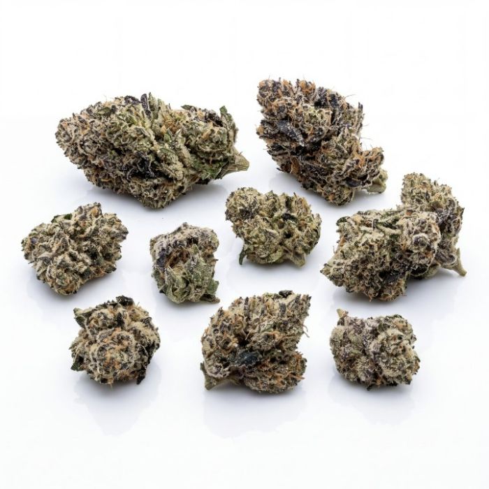 White Runtz Auto Seeds