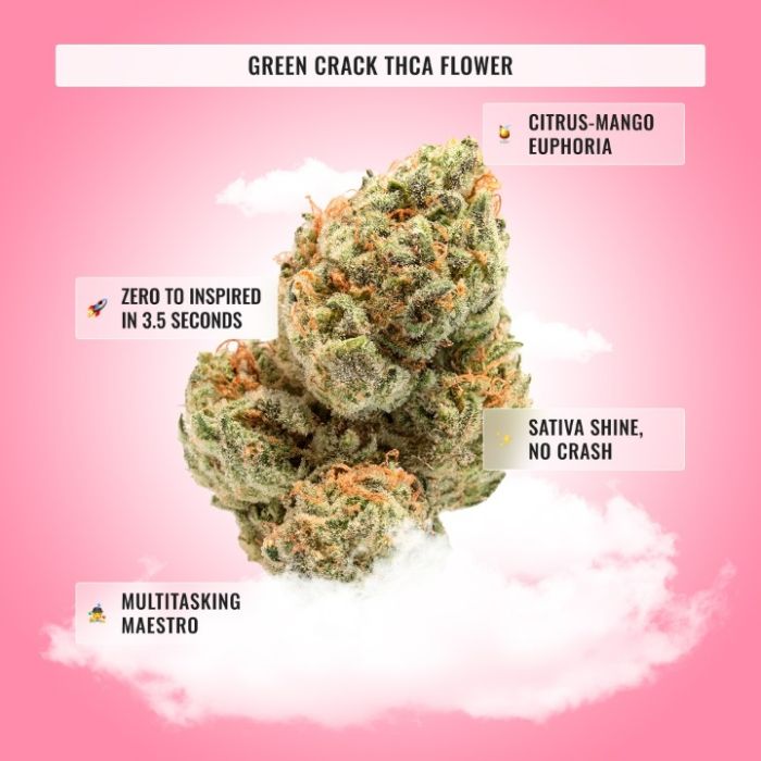 XMAS Stoner Gift Box by United Strains of America