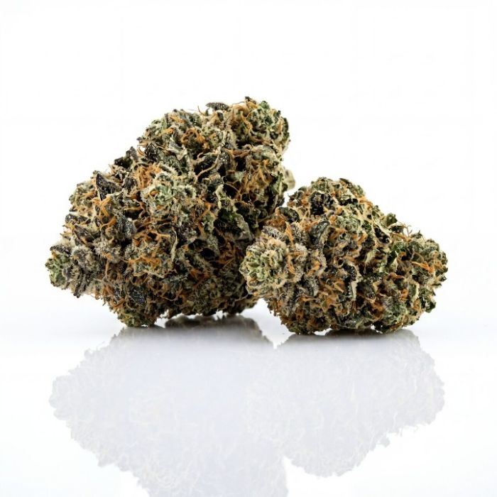 Zookies Auto Seeds