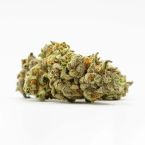 Yumbolt Autoflower Cannabis Seeds
