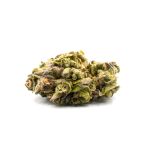 Purple Punch Feminized Cannabis Seeds