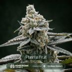 GG4 + Plasma Fruit + Killer Cupcake Clone Bundle
