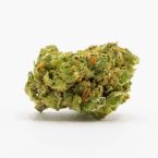 Critical Autoflower Cannabis Seeds