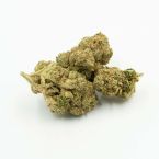 Bubblegum Feminized Cannabis Seeds