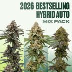 2026 Bestselling Hybrid Auto Collection