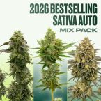 2026 Bestselling Sativa Auto Collection