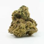 Critical Mass Autoflower Cannabis Seeds