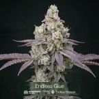 Octane Mintz + Endless Glue Clone Bundle