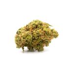 OG Kush Autoflower Cannabis Seeds 