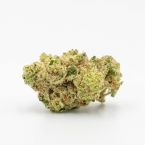 Amnesia Haze Autoflower Cannabis Seeds