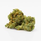 Chemdawg #4 Feminized Cannabis Seeds