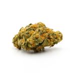 Rainbow Glue Feminized Cannabis Seeds