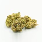 Skunk Fast Version Cannabis Seeds