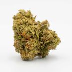 Chocoholic Kush Feminized Cannabis Seeds