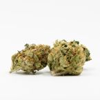 Tangie Feminized Cannabis Seeds