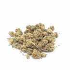 Animal Runtz Feminized Cannabis Seeds