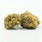 Triangle Kush Feminized Cannabis Seeds