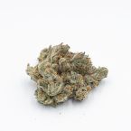 Grapericot Pie Autoflower Cannabis Seeds