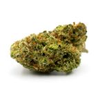 NYC Diesel Autoflower Cannabis Seeds