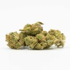 Amnesia Autoflower Cannabis Seeds