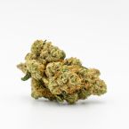 MK Ultra Feminized Cannabis Seeds