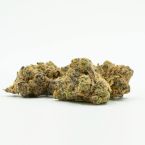 Blueberry Feminized Cannabis Seeds