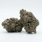 Apple Fritter Autoflower Cannabis Seeds