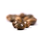 Fire OG Feminized Cannabis Seeds