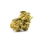 G13 Autoflower Cannabis Seeds