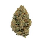 Banjo Candy Feminized Cannabis Seeds