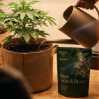 Base Grow & Bloom Nutrients