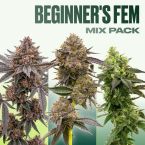 Beginner’s Seeds Mix Pack 
