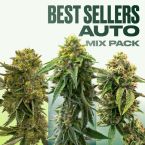 Best Sellers Auto Seeds Mix Pack