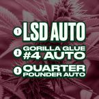 Best Sellers Autoflower Mix Pack