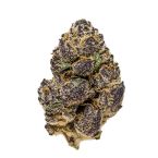 Black Cat Kush Feminized Cannabis Seeds