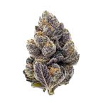 Blueberry Banger Feminized Cannabis Seeds