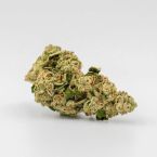 Banana Kush Autoflower Cannabis Seeds