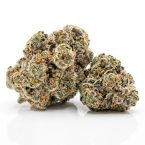 CBD OG Kush (1:15) Seeds