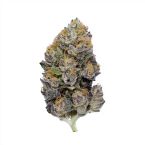 Clementine Crush Feminized Cannabis Seeds