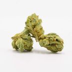 LSD Feminized Cannabis Seeds