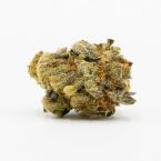 Big Mango Feminized Cannabis Seeds