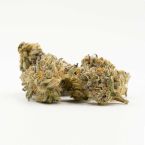 Black Domina Feminized Cannabis Seeds