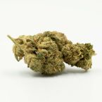 Cinderella 99 Feminized Cannabis Seeds