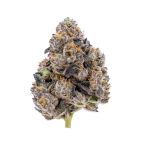 Frozen Punch Feminized Cannabis Seeds