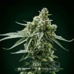 GG4 + Black Baccara + Hunter's Moon Clone Bundle