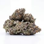 Grape Pie Seeds