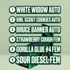 Homegrown Cannabis Seed Box